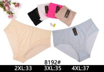 Majtki damskie (2-4XL/24szt)