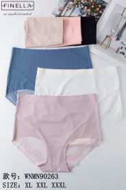 Majtki damskie (XL-3XL/24szt)