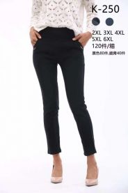 Spodnie damskie (2-6XL/15szt)