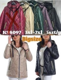 Kurtki damskie (3-7XL/5szt)