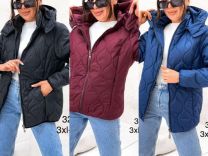 Kurtka damska (3-7XL/5szt)