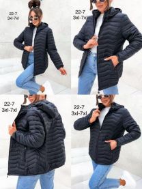 Kurtka damska (3-7XL/5szt)