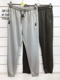 Spodnie dresowe męskie (XL-5XL/10szt)