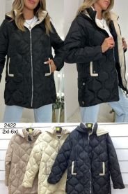 Kurtka damska wiosenna (2-6XL/5szt)