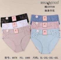 Majtki damskie (XL-4XL/24szt)