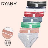 Majtki damskie (S-XL/24szt)