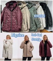 kurtka damskie (3XL-7XL/5szt)