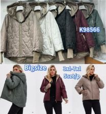 kurtka damskie (3XL-7XL/5szt)
