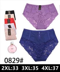 MAJTKI DAMSKIE (2XL-4XL /24szt)