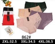 MAJTKI DAMSKIE (2XL-4XL /24szt)