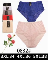 MAJTKI DAMSKIE (3XL-5XL/24szt)