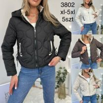 Kurtka wiosenna damska (XL-5XL/5szt)