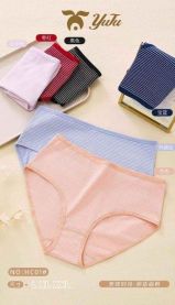 Majtki damskie (L-2XL/24szt)