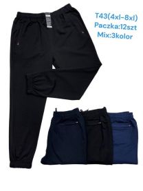 Spodnie dresowe męskie (4-8XL/12szt)