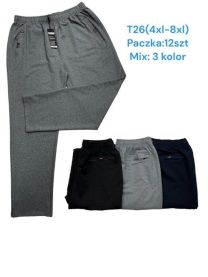 Spodnie dresowe męskie (4-8XL/12szt)