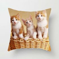 Poszewki (40X40cm/10szt)