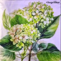 poszewki (40X40cm/10szt)