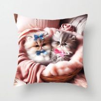 Poszewka (40x40cm/10szt)