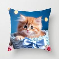 poszewki (40X40cm/10szt)