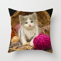 poszewki (40X40cm/10szt)