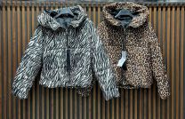 Kurtka Turecka (uniwersalny/6szt)