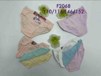 Majtki dziewczynka (110-152/24szt)