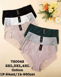 MAJTKI DAMSKIE (2-4XL /24szt)