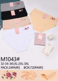 Majtki damskie (XL-3XL/24szt)