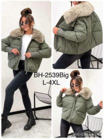 kurtka damskie (L-4XL/5szt)