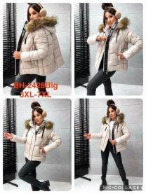 Kurtka damskie (3XL-7XL/5szt)