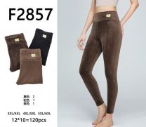 PLUS_Spodnie damskie (3-6XL/12szt)