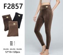 PLUS_Spodnie welurowy (3-6XL/12 szt)