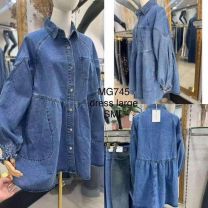 Koszula jeansowa damska (S-L/12szt)