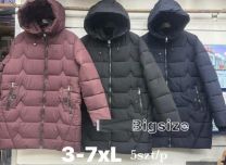 kurtka damskie (3XL-7XL/5szt)