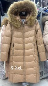 Kurtka damskie (S-2XL/5szt)