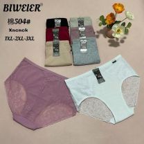 MAJTKI DAMSKIE (XL-3XL/24szt)