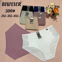 MAJTKI DAMSKIE (2-4XL /24szt)