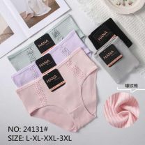 MAJTKI DAMSKIE (L-3XL/24szt)