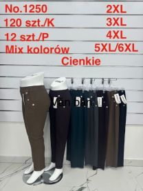 PLUS_Spodnie elastyczny (2-6XL/12szt)