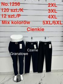 PLUS_Spodnie elastyczny (2XL-6XL/12szt)