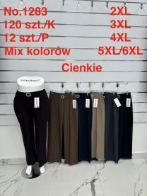 PLUS_Spodnie elastyczny (2XL-6XL/12szt)