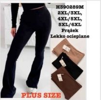 PLUS_Spodnie elastyczny (2-6XL/12szt)