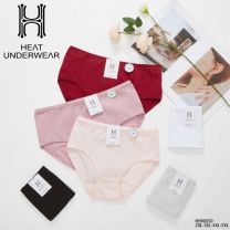 MAJTKI DAMSKIE (2-5XL /24szt)