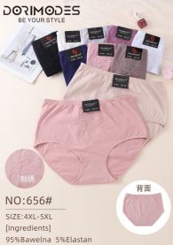 MAJTKI DAMSKIE (4-5XL /24szt)