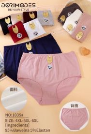 MAJTKI DAMSKIE (4-6XL /24szt)