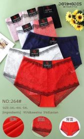 MAJTKI DAMSKIE (3-5XL /24szt)