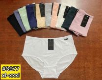 MAJTKI DAMSKIE (XL-3XL/24szt)