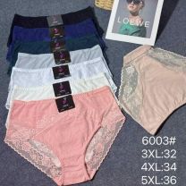 MAJTKI DAMSKIE (3-5XL /24szt)