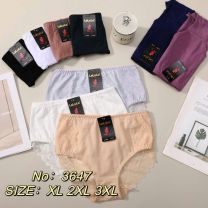 MAJTKI DAMSKIE (XL-3XL/24szt)