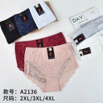 MAJTKI DAMSKIE (2-4XL /24szt)